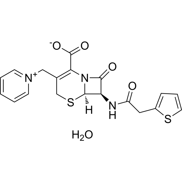 Cephaloridine hydrate 102039-86-1